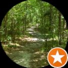 bingo plus reward points login